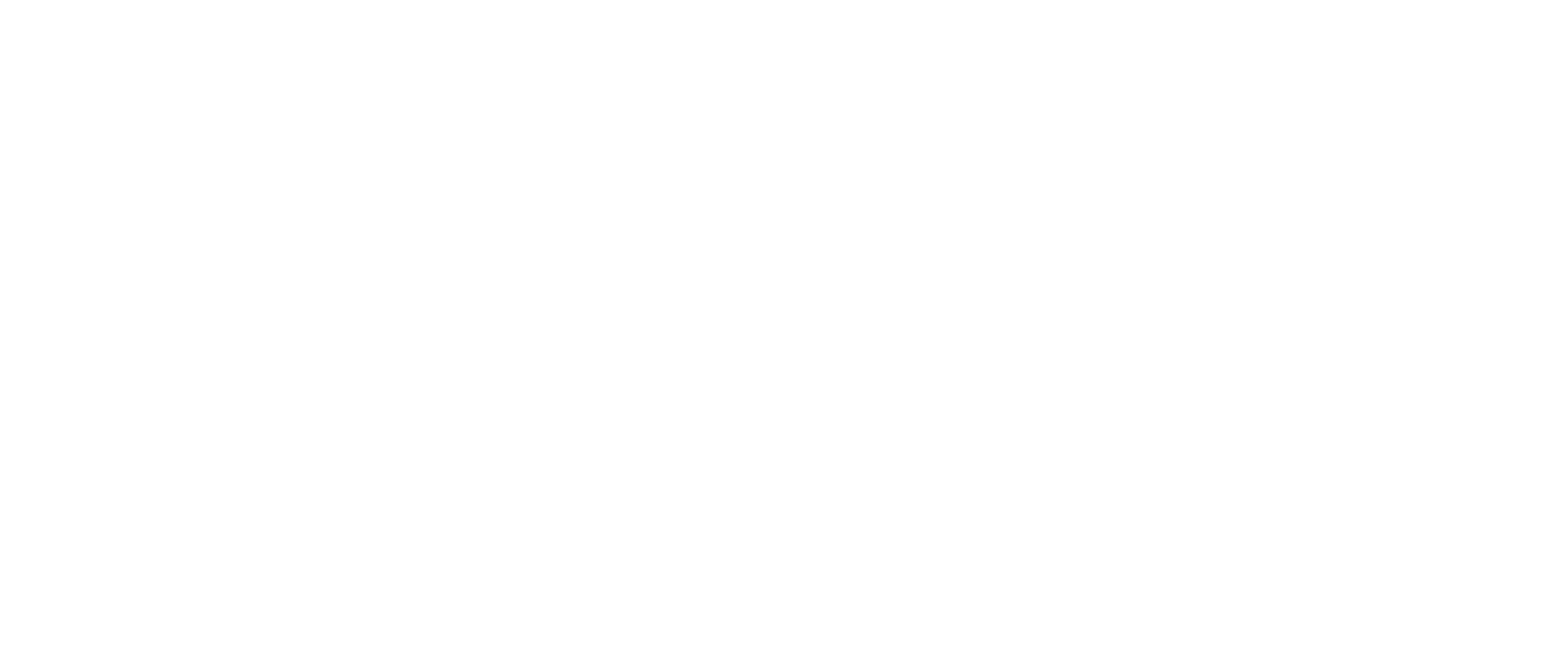 VST Logo